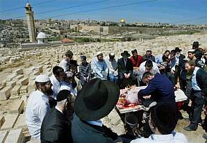 Rabbis aim to renew animal sacrifices