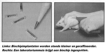 laboratoriummuis wordt ingespoten met een chip